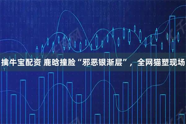 擒牛宝配资 鹿晗撞脸“邪恶银渐层”，全网猫塑现场