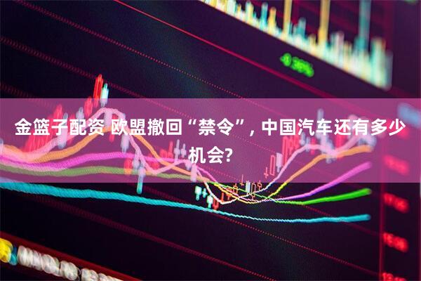 金篮子配资 欧盟撤回“禁令”, 中国汽车还有多少机会?