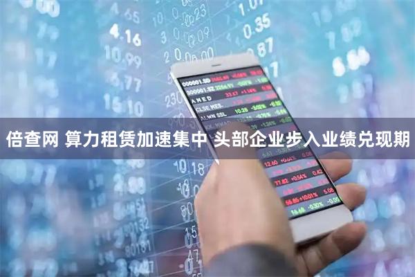 倍查网 算力租赁加速集中 头部企业步入业绩兑现期